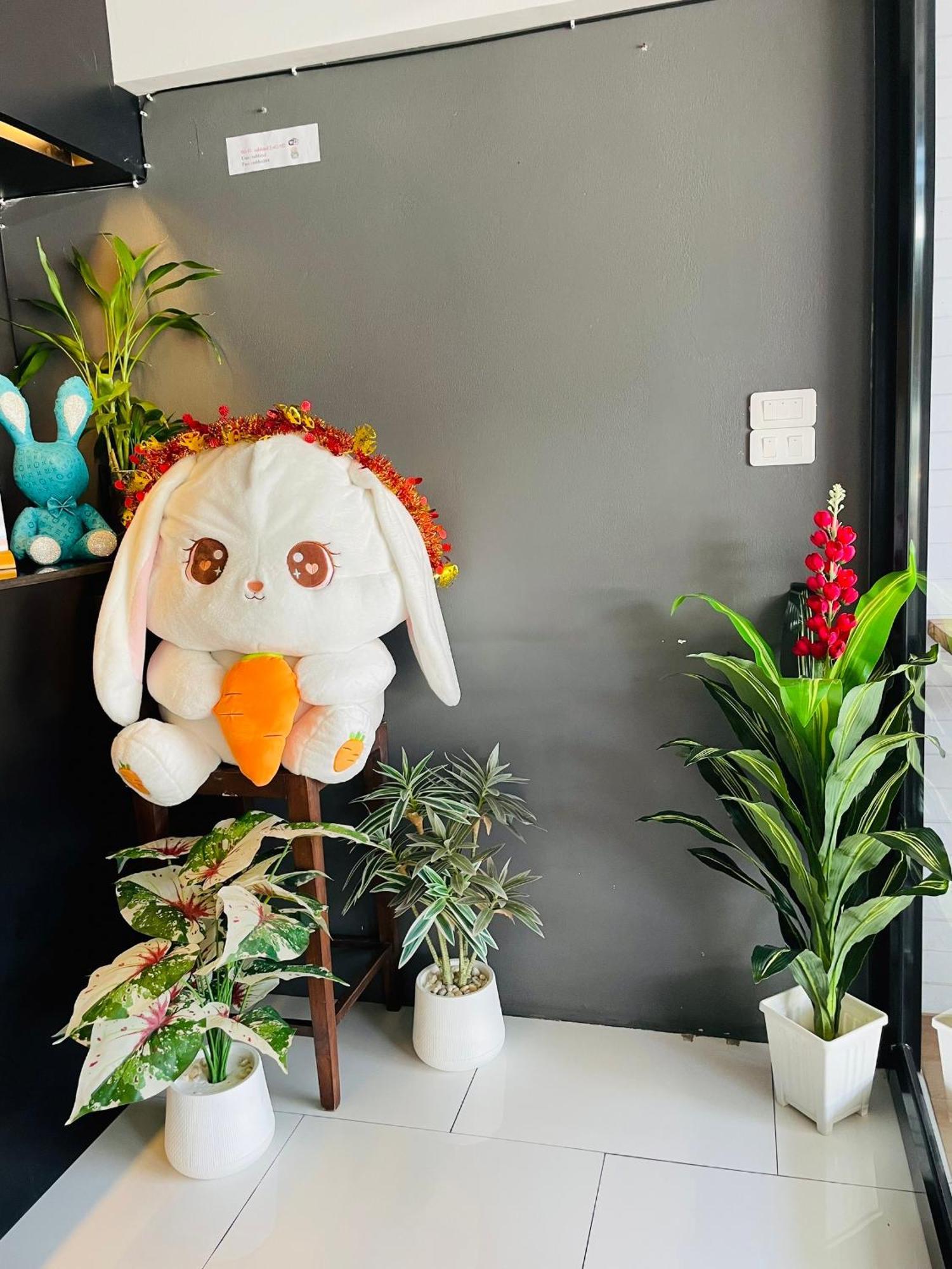 Rabbitel Phuket Hostel Luaran gambar